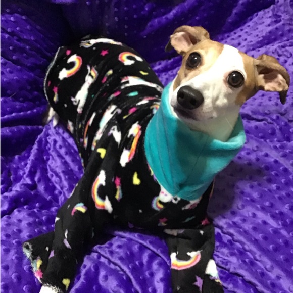 Meet TubbySunrise - Picture 2 of 7